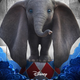 Dumbo!